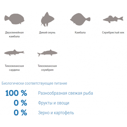 6 видов рыб