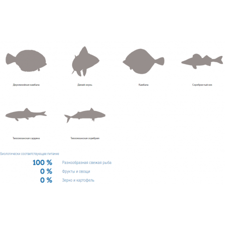 6 видов рыб
